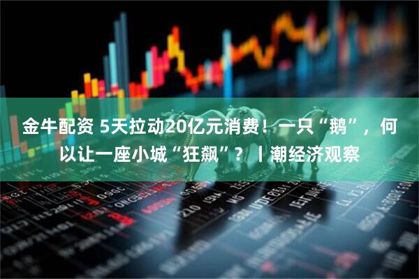 金牛配资 5天拉动20亿元消费！一只“鹅”，何以让一座小城“狂飙”？丨潮经济观察