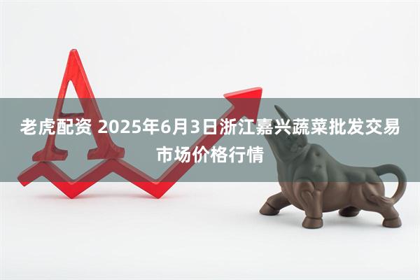 老虎配资 2025年6月3日浙江嘉兴蔬菜批发交易市场价格行情