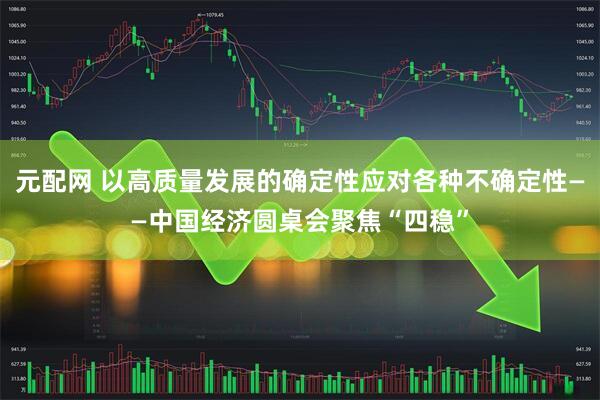 元配网 以高质量发展的确定性应对各种不确定性——中国经济圆桌会聚焦“四稳”