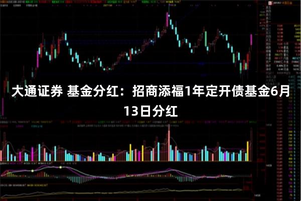 大通证券 基金分红：招商添福1年定开债基金6月13日分红