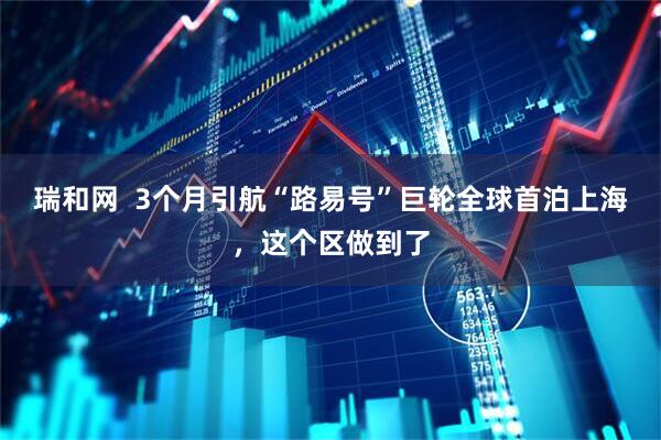 瑞和网  3个月引航“路易号”巨轮全球首泊上海，这个区做到了