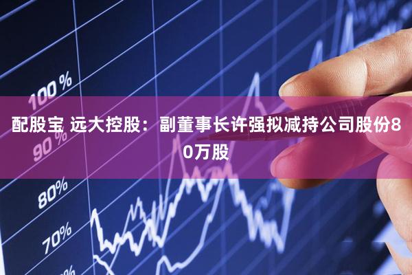 配股宝 远大控股：副董事长许强拟减持公司股份80万股