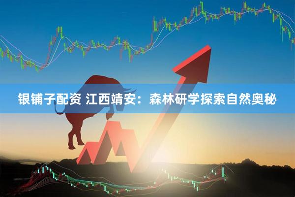 银铺子配资 江西靖安：森林研学探索自然奥秘