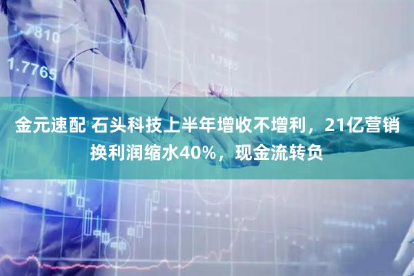 金元速配 石头科技上半年增收不增利，21亿营销换利润缩水40%，现金流转负