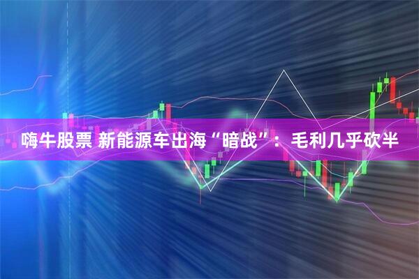 嗨牛股票 新能源车出海“暗战”：毛利几乎砍半