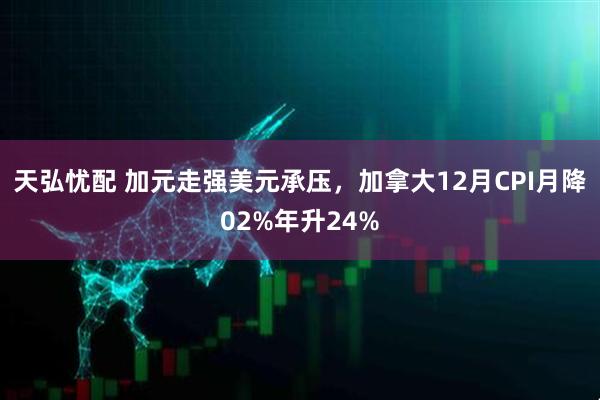 天弘忧配 加元走强美元承压，加拿大12月CPI月降02%年升24%